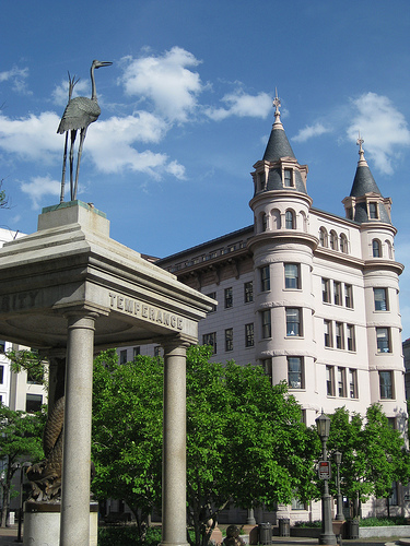 pq_potw_6-6-2009 pq_potw_6-6-2009