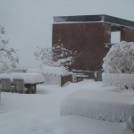 Blizzard 2010 - 11