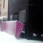 Blizzard 2010 - 13